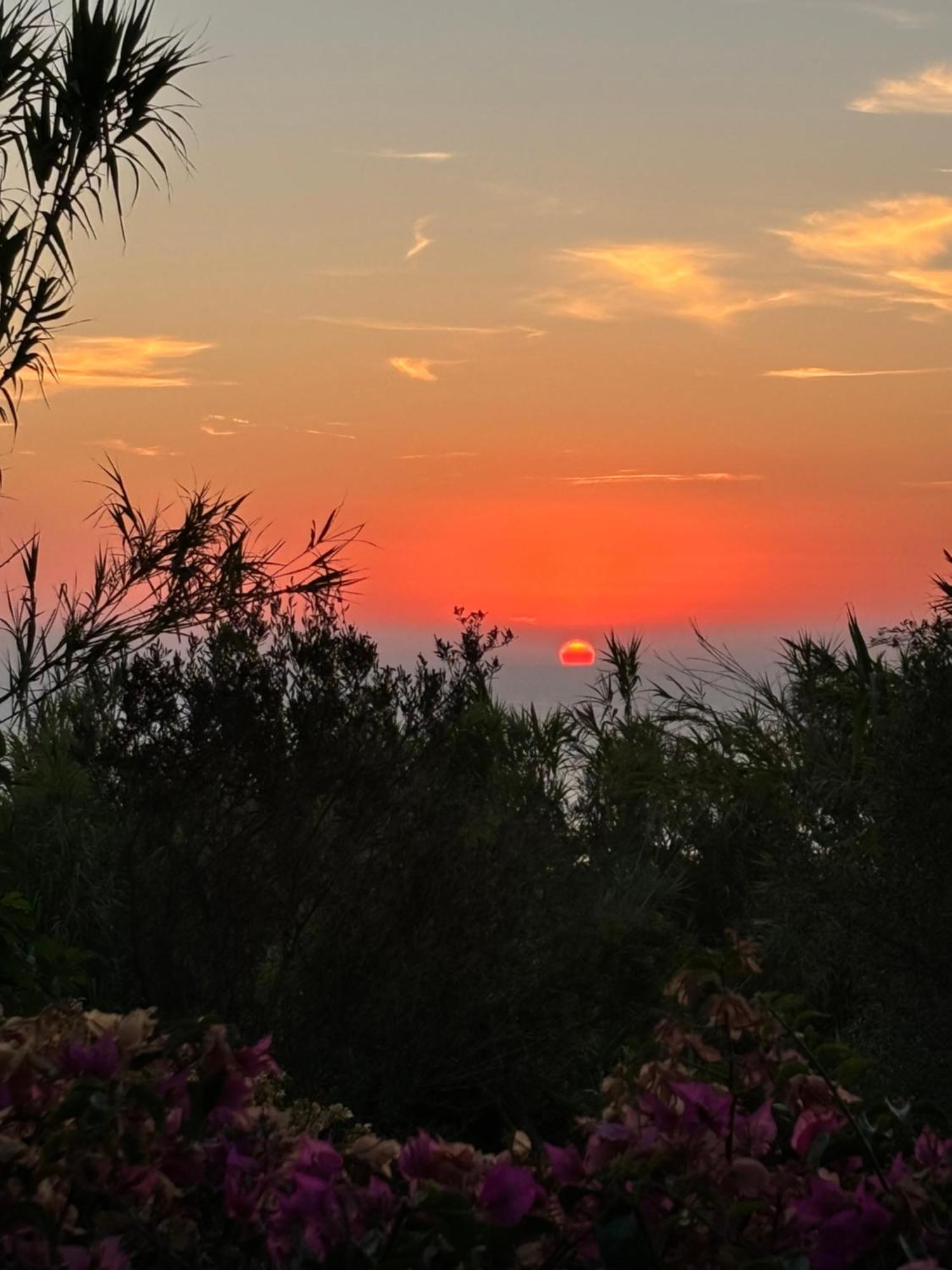 Villa Moma Giardino, Tennis E Piscina Panoramica Ischia Exterior photo