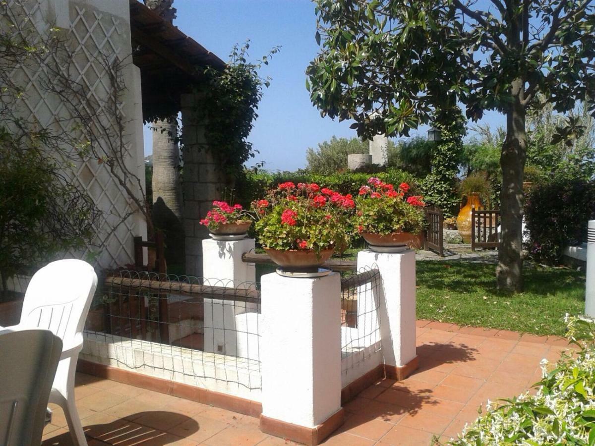 Villa Moma Giardino, Tennis E Piscina Panoramica Ischia Exterior photo